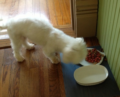 eating