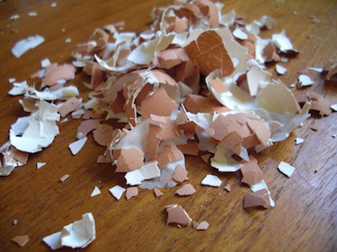 eggshells