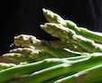 asparagus