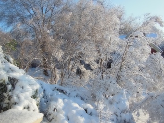 snow