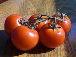 tomatoes