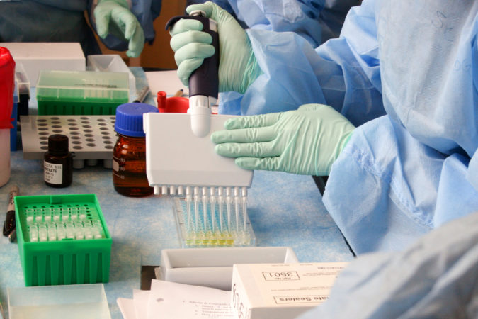 lab