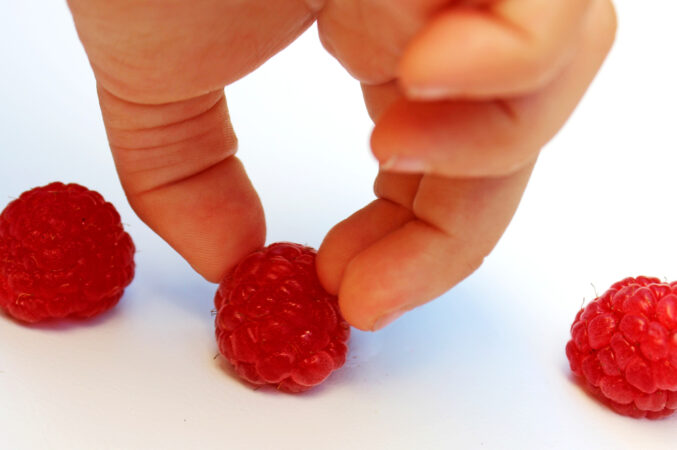 three raspberries on white with fingers picking up the middle one