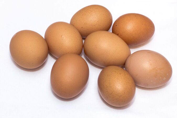 eggs